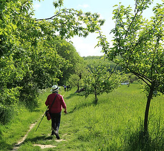 1S5A2708 cp SQ INSTAGRAM_edited.jpg