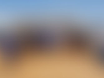 Descubra os segredos por trás do sucesso do Cangaço Vôlei