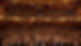 Orchestra Audience