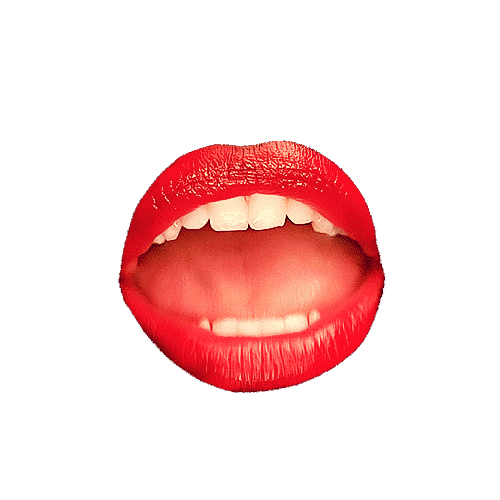 giphy.gif