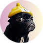 profile-pic (10).png