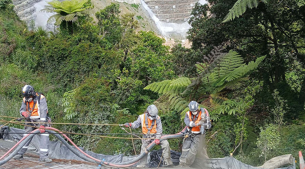 rope access slope stabilisation nz