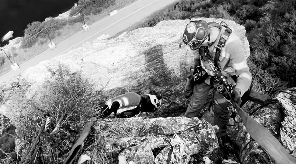 manual scaling and block removal rope access