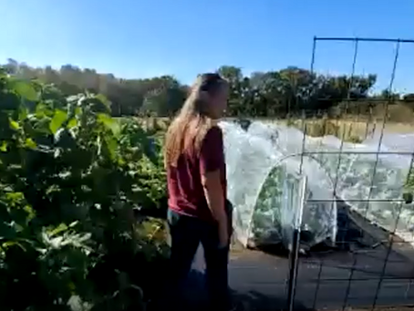 Homesteading Workshop