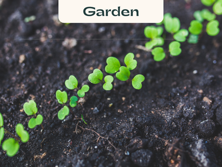 Build Your Garden