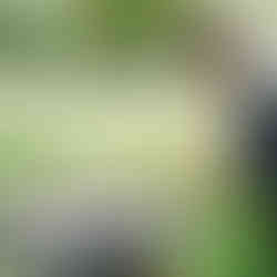 Green Shield crew member cutting step stringer.