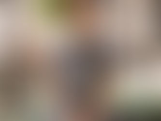 Book review: "Migrations"