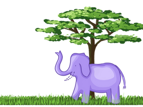 Decades of war leave a lasting mark on the elephant population