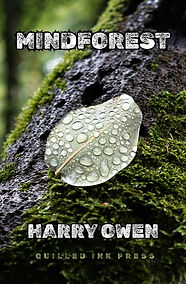 Mindforest by Harry Owen published by Quilled Ink Press