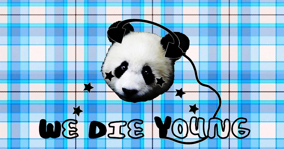 WORKSHOP CLUB: We Die Young   