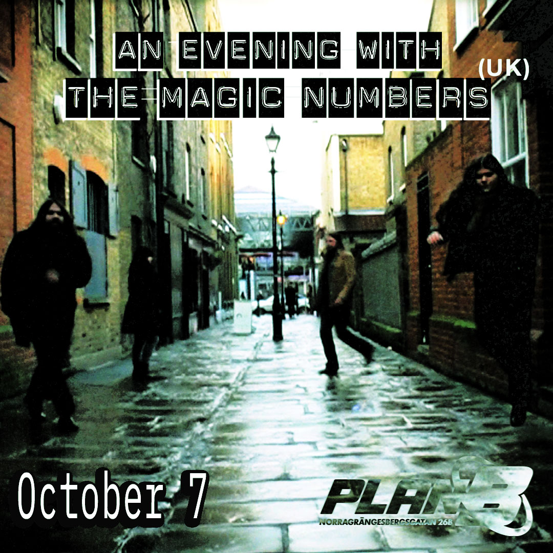 CONCERT: An evening with the Magic Numbers (UK)