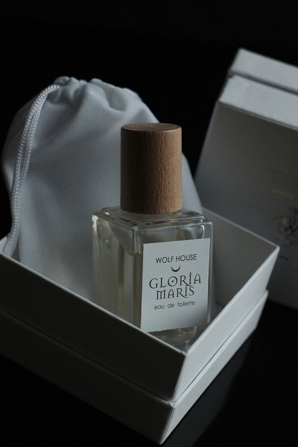 Thumbnail: GLORIA MARIS