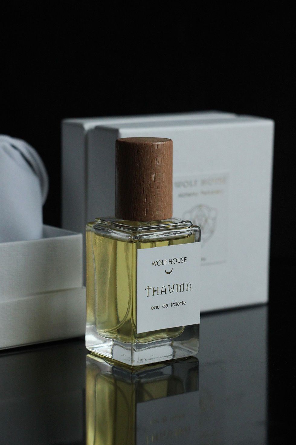 Прев'ю: THAUMA