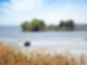 Glengarry waterfront homes for sale.jpeg