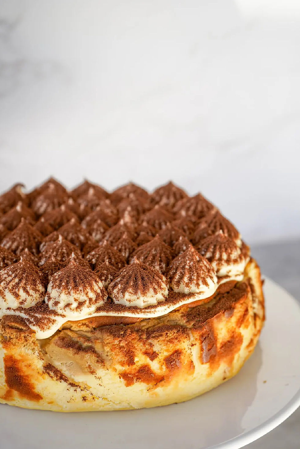 Thumbnail: Tiramisu Burnt Basque Cheesecake