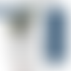 July 2022 Market Update / Newsletter