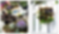 Pictures above are for inspiration.