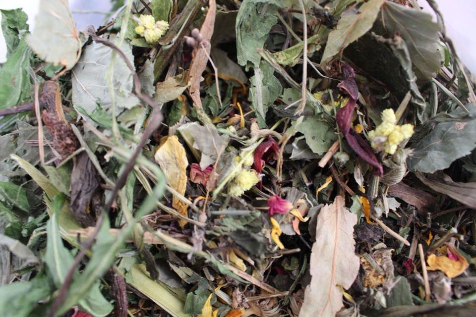 KRÓLIZIÓŁKA HERBAL PETS MIESZANKA DLA KRÓLIKÓW KARMA