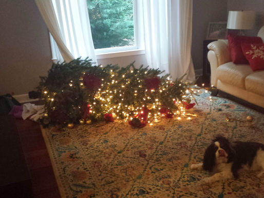 The Day I Accidentally Joined the Worst Club Ever