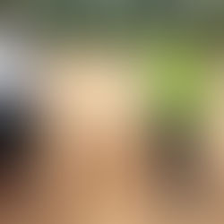 A day in the life of a Pursue Education Officer