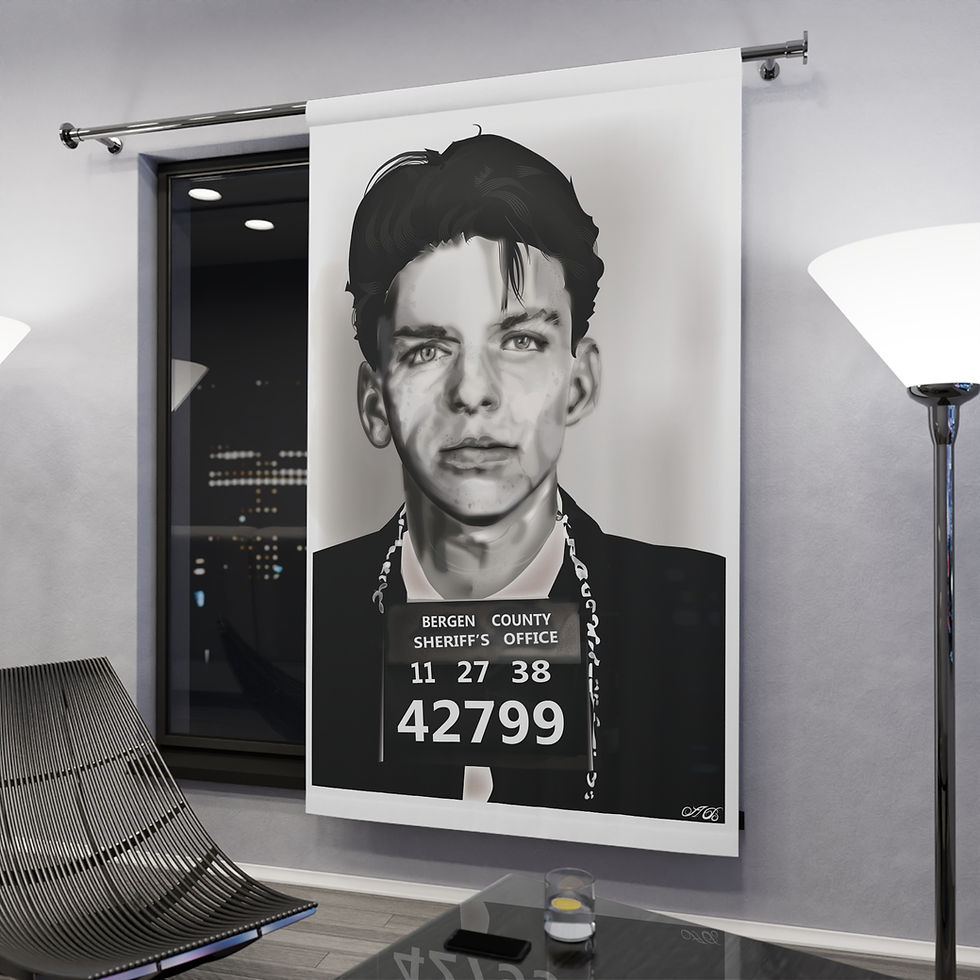 Thumbnail: Window Curtains (1 Piece)