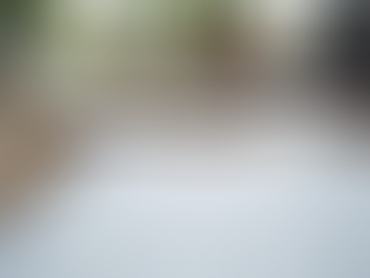 Planning Your Dream Wedding with Ease