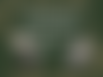 Baby Stroller and carseat, Christmas Giving Catalogue