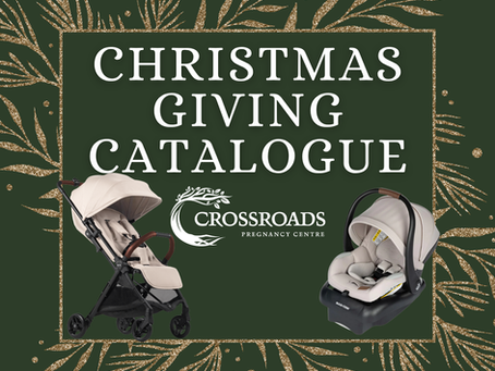 Baby Stroller and carseat, Christmas Giving Catalogue