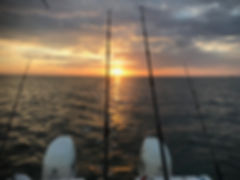 IMG_5105.jpeg