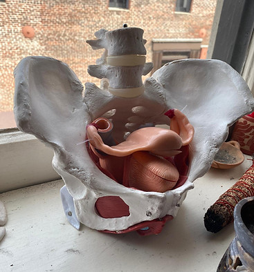 WhatsApp Image 2025-05-17 at 11.00.03 AM.jpeg