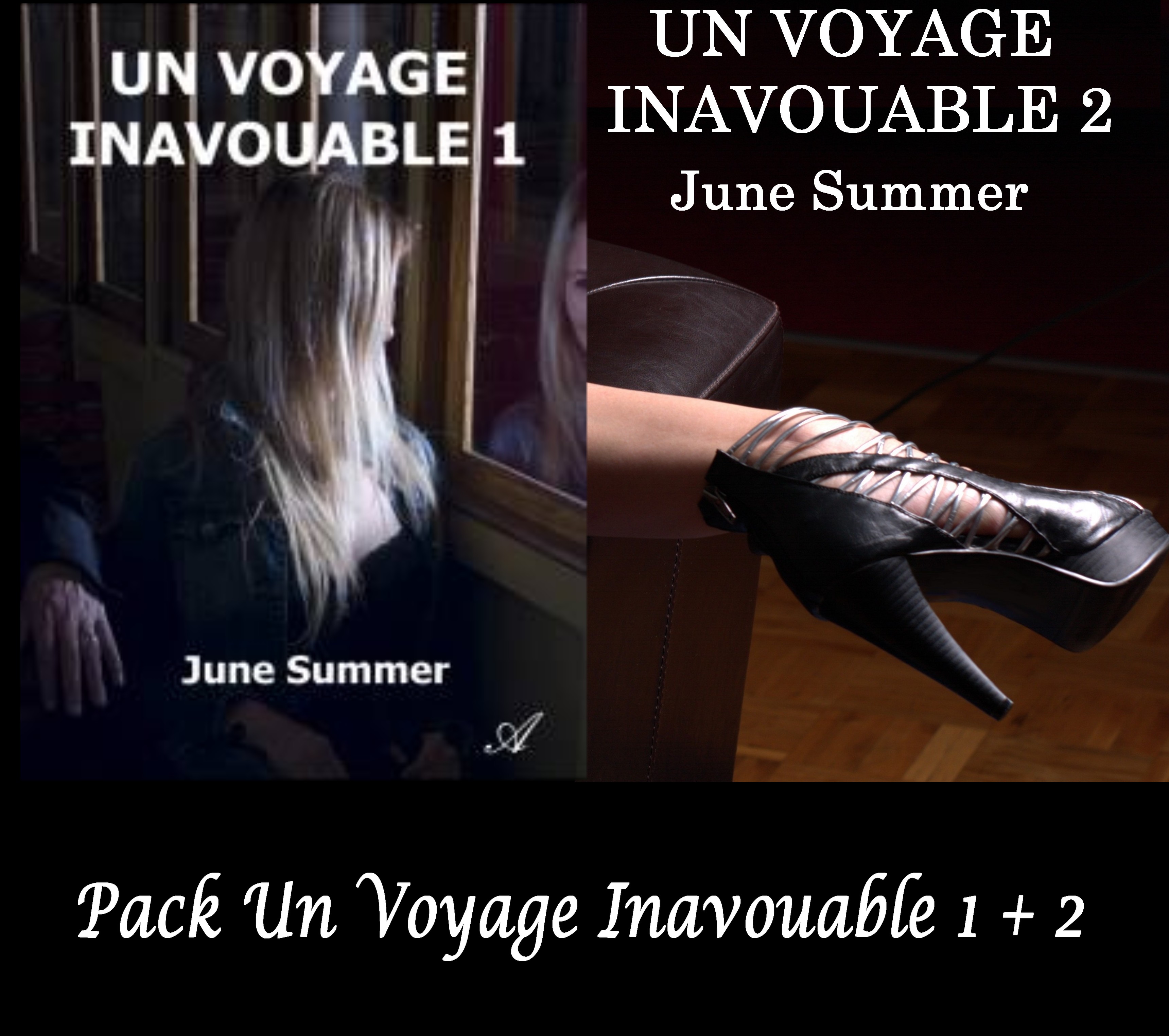 Pack Voyage Inavouable 22,90