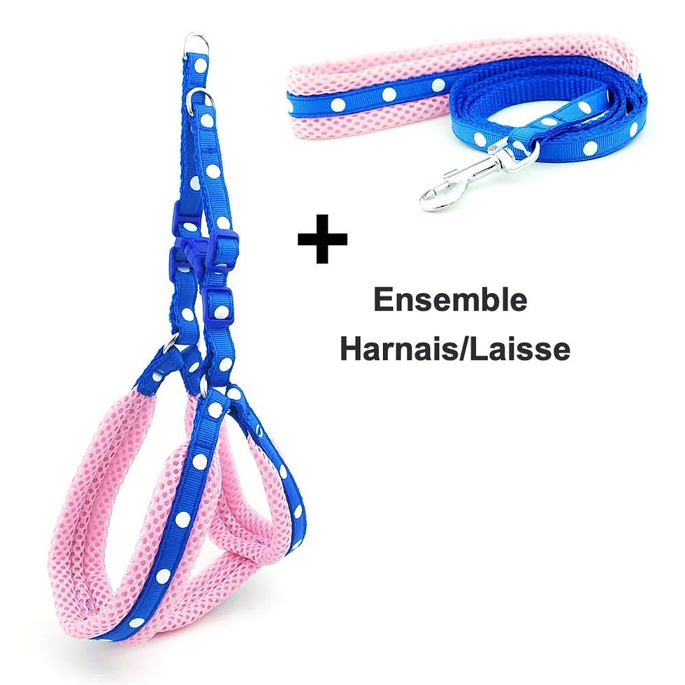 Miniature : Ensemble Harnais/Laisse confort en maille respirante