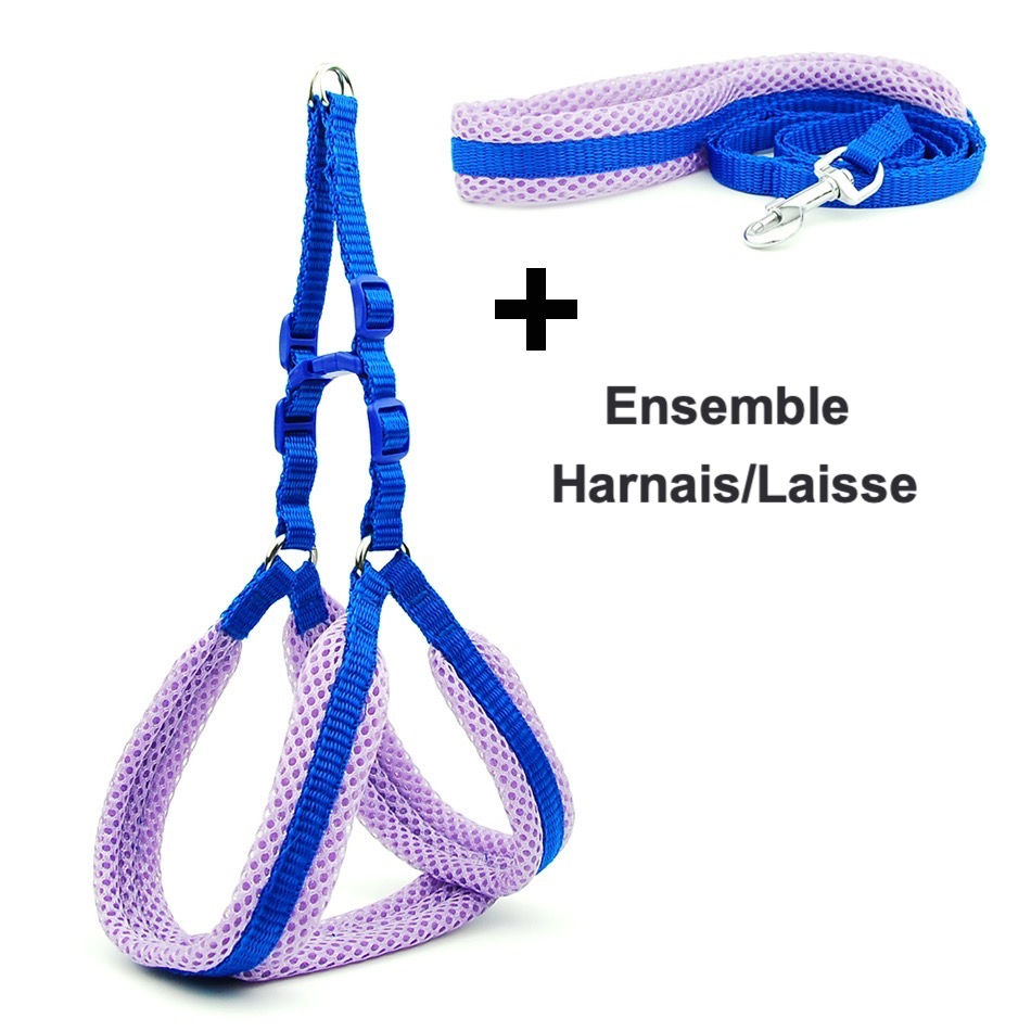 Miniature : Ensemble Harnais/Laisse confort en maille respirante
