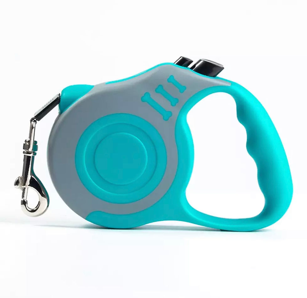 Miniature : Laisse Enrouleur sangle 3m