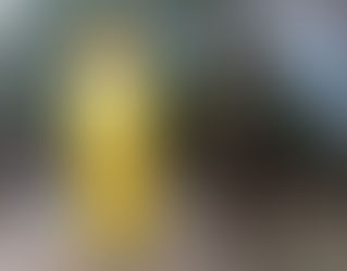 Halloween Weekend 2015