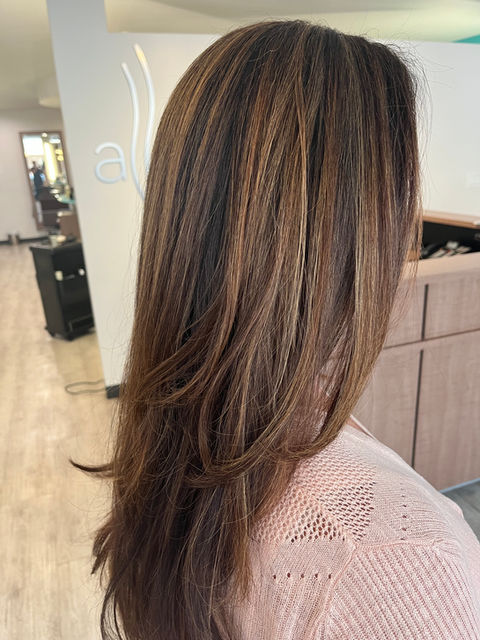 root color and highlights