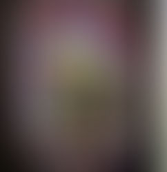 Défi novembre 2021: Tout en papier