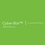 Thumbnail: Cyber-Bot™