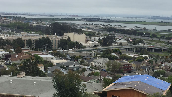 Albany Flat Fee MLS