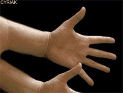 Hands.gif