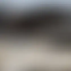 Tensões geopolíticas abalam o agronegócio americano 