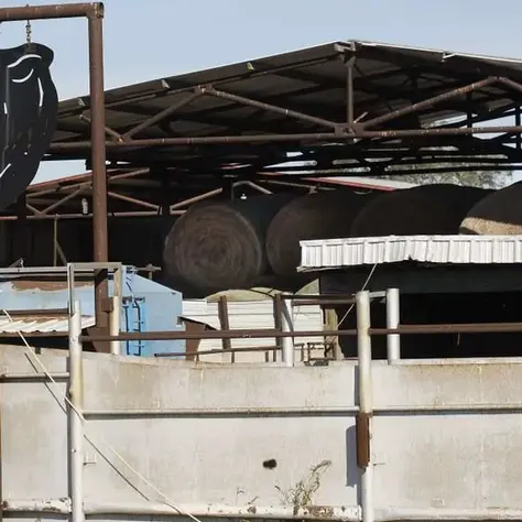 Tensões geopolíticas abalam o agronegócio americano 