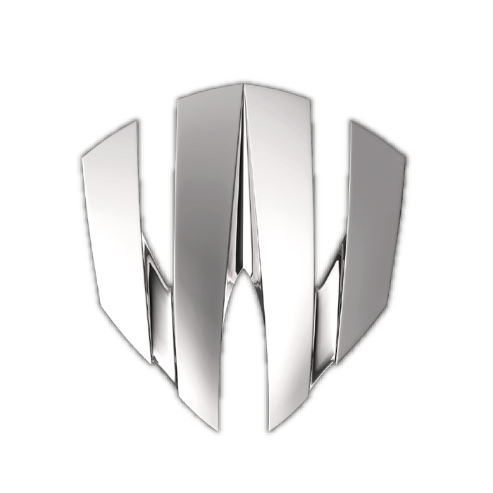 W Motors