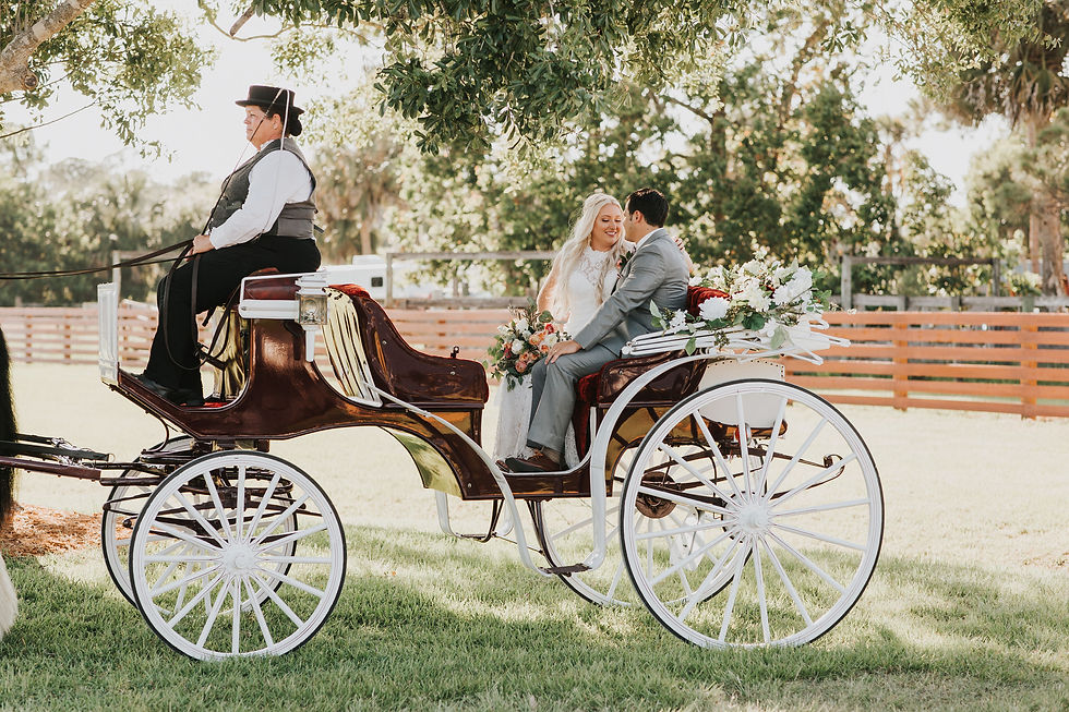 Horse-drawn Wedding