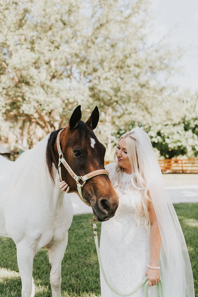 Horse-drawn Wedding