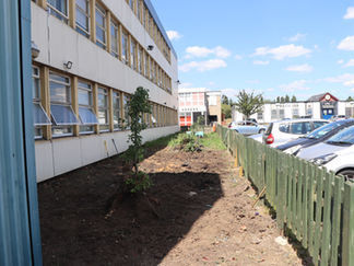 Haringey Advice Partnership at Selby Food Hub