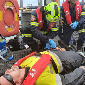 Emergency Services Australia