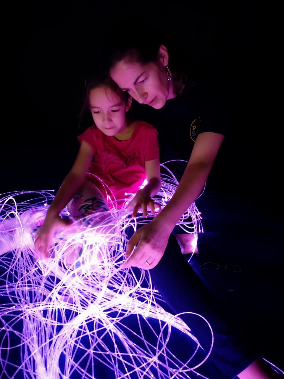 Fiber Optic