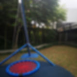 MAMMOTH SWING