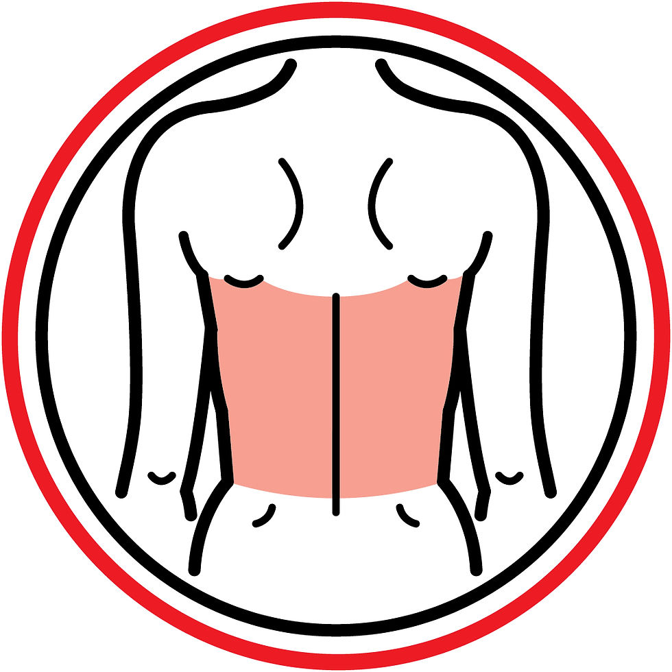JP Icon 13a Lower Back
